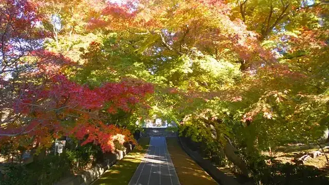 村岡地区