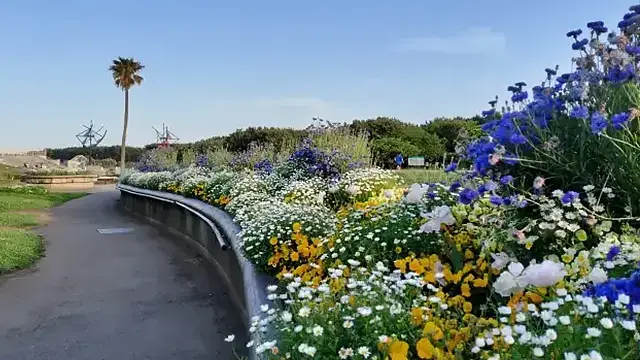 辻堂地区